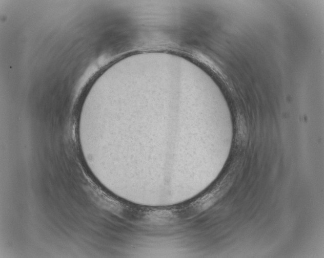 X0000069381462200606091639