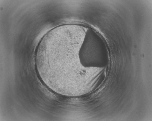 X0000069381463200606091639