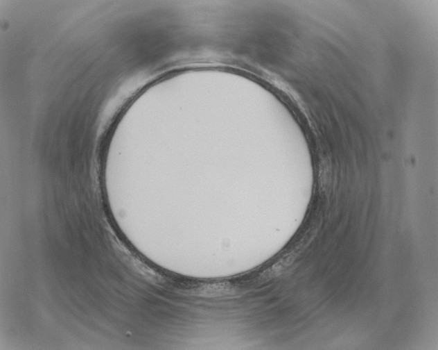 X0000069381464200606091639