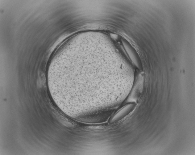 X0000069381465200606091639