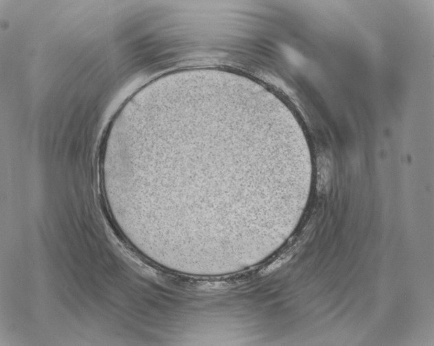 X0000069381467200606091639