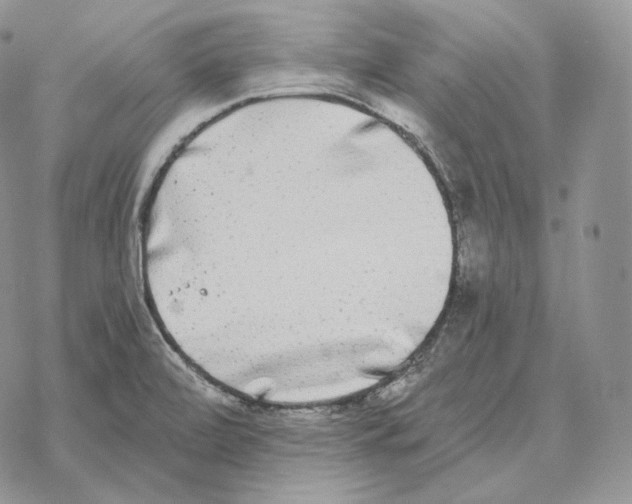 X0000069381472200606091639