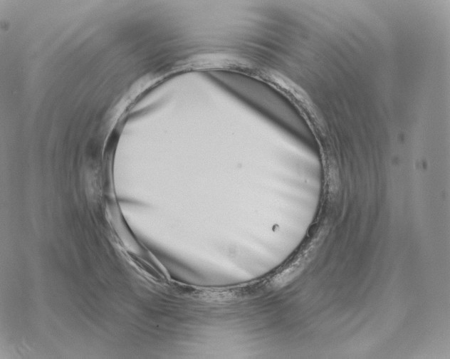 X0000069381473200606091639