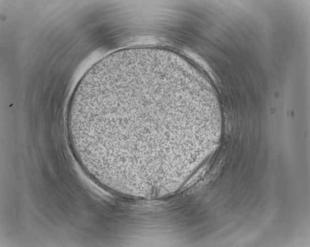 X0000069381475200606091639