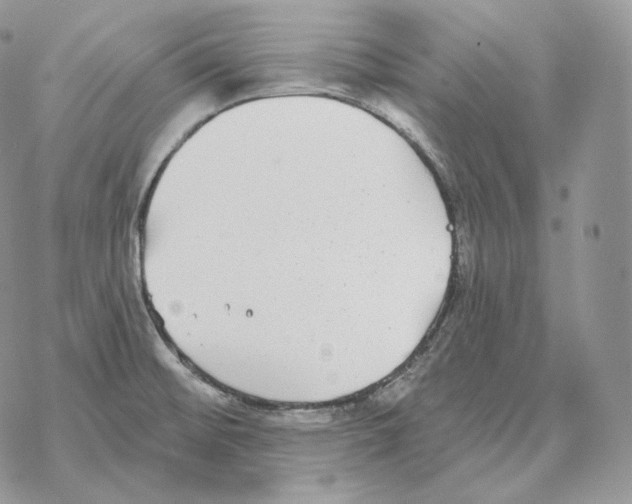 X0000069381476200606091639