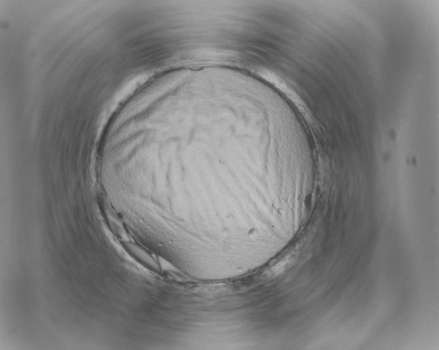 X0000069381477200606091639