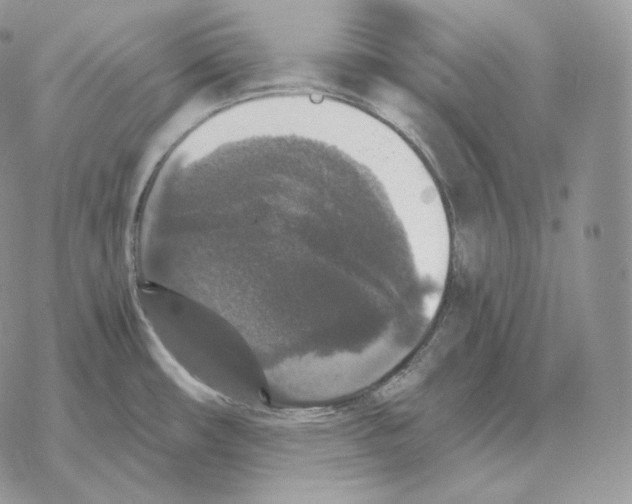 X0000069381482200606091638