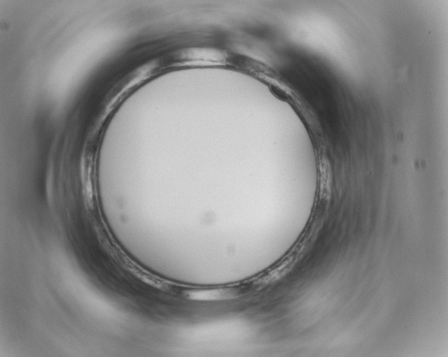 X0000069381487200606091638