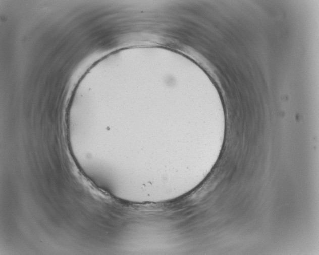 X0000069381488200606091638