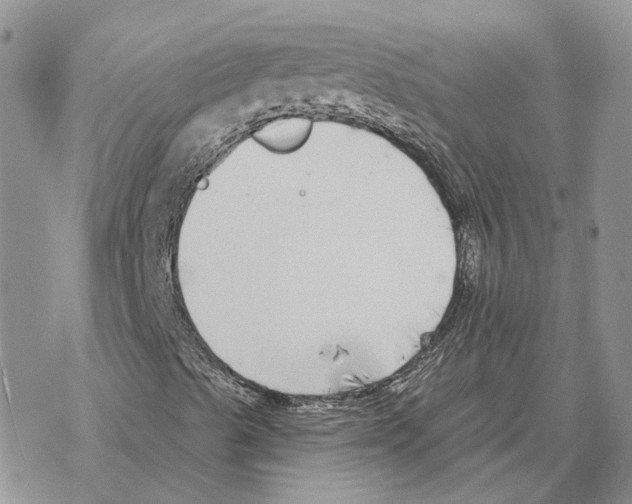 X0000069381489200606091638