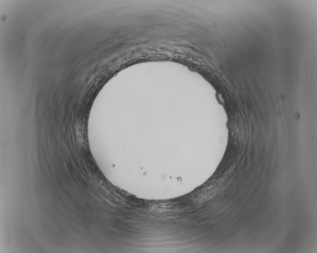 X0000069381490200606091638