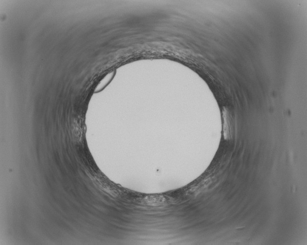 X0000069381491200606091638