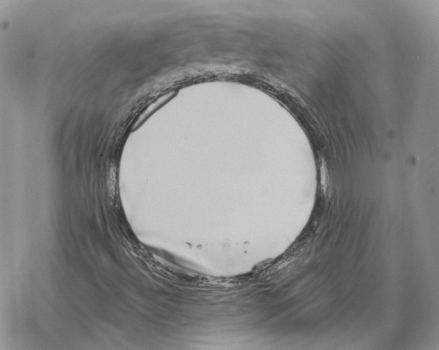 X0000069381492200606091638