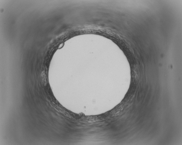 X0000069381493200606091638