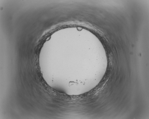 X0000069381494200606091638