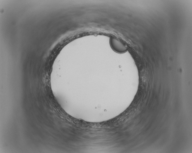 X0000069381495200606091638