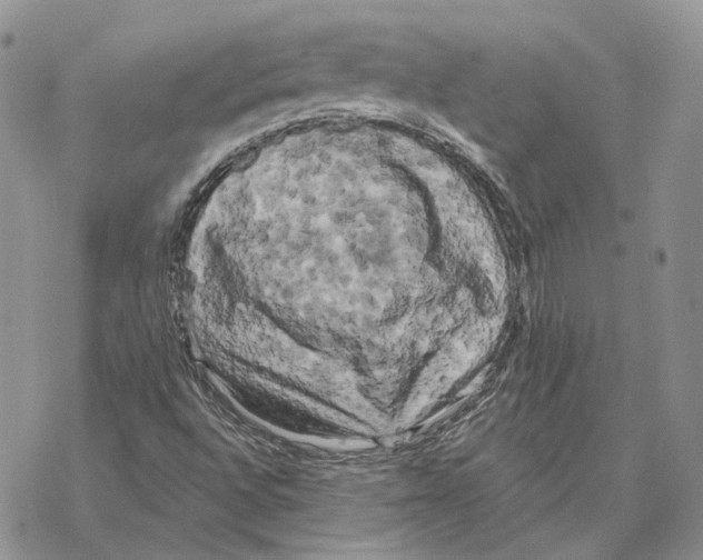 X0000069381496200606091638