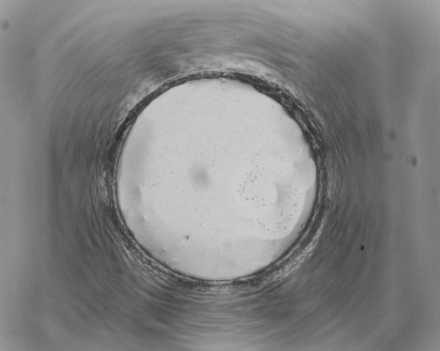 X0000069381497200606091638