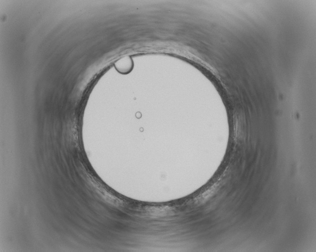 X0000069381498200606091638