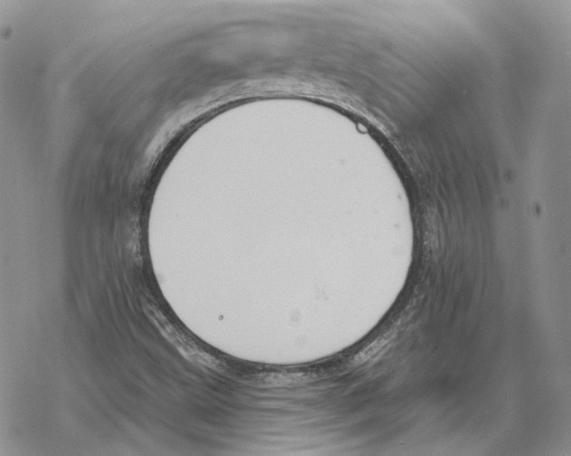 X0000069381499200606091638