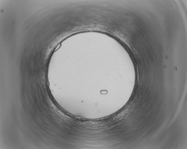 X0000069381500200606091638