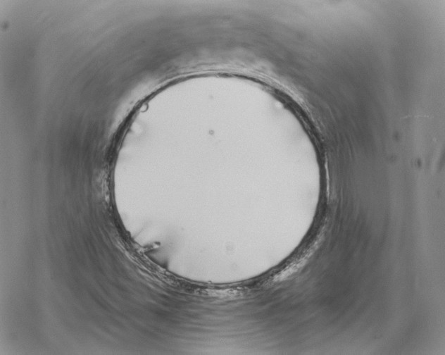 X0000069381501200606091638