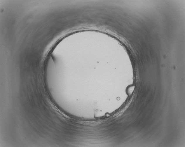 X0000069381502200606091638