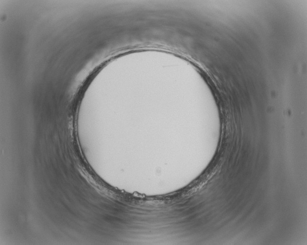 X0000069381503200606091638