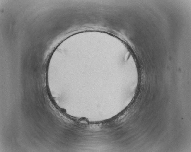 X0000069381504200606091638