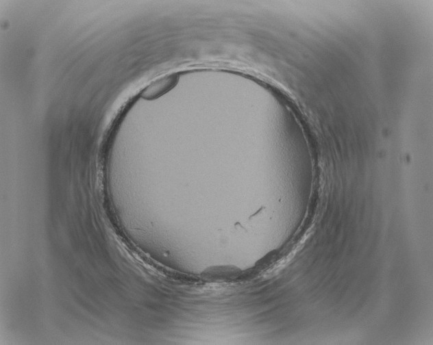 X0000069381506200606091638