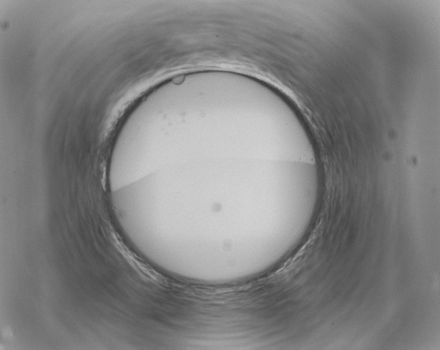 X0000069381507200606091638