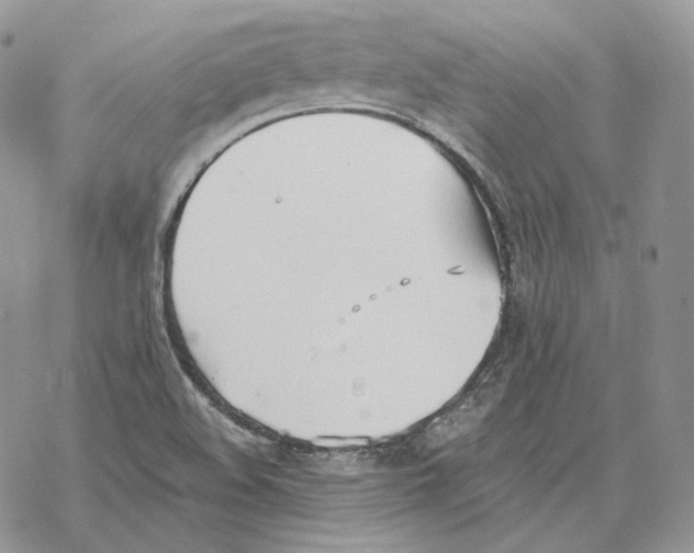 X0000069381508200606091638