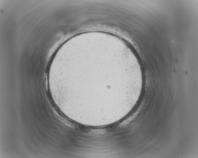 X0000069381509200606091638