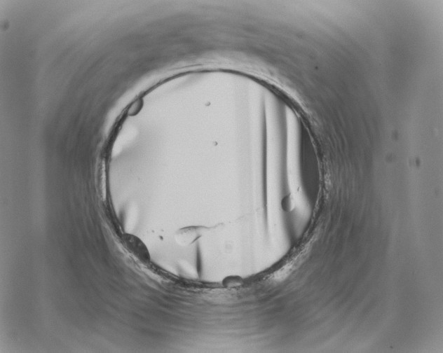 X0000069381510200606091638