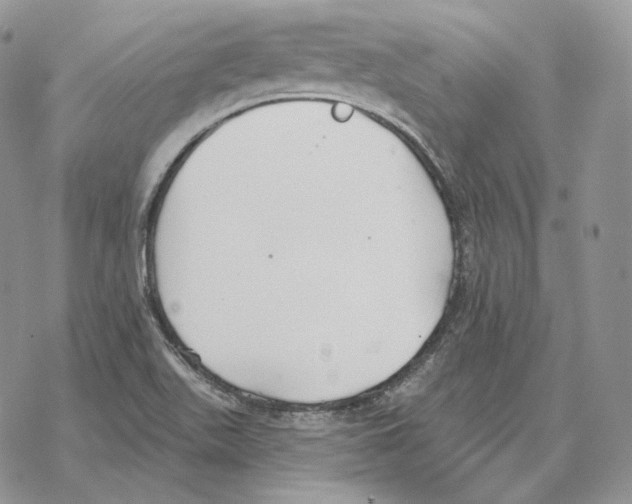 X0000069381511200606091638