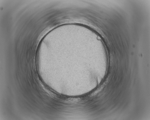 X0000069381513200606091638