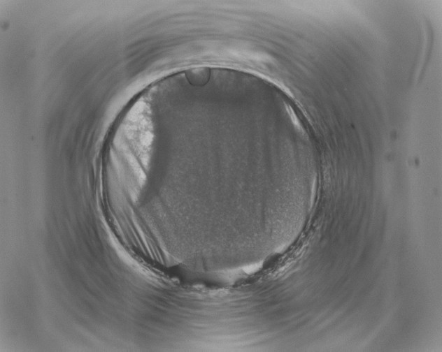 X0000069381515200606091638