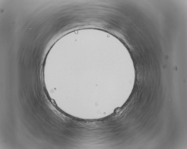 X0000069381516200606091638