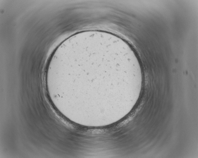 X0000069381517200606091638