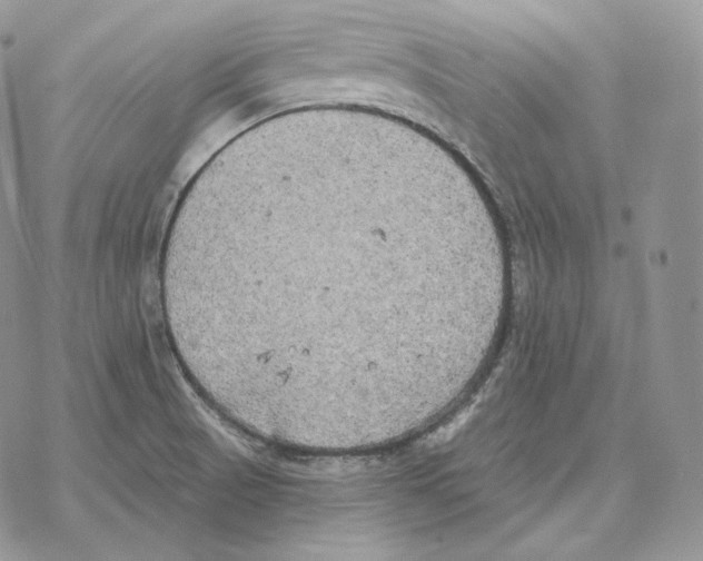 X0000069381521200606091638