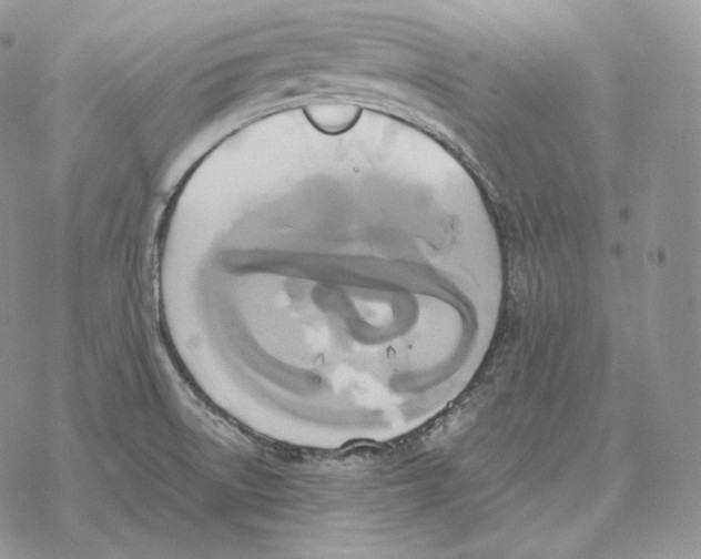 X0000069381522200606091638