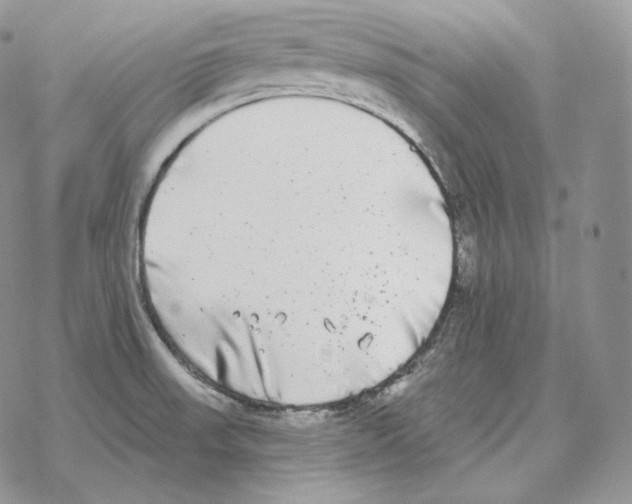 X0000069381523200606091638