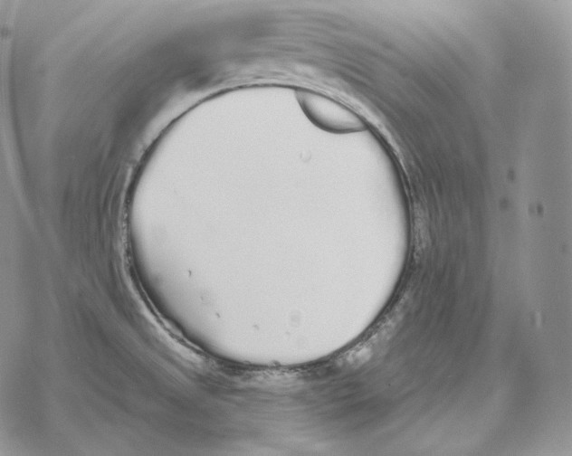 X0000069381525200606091638