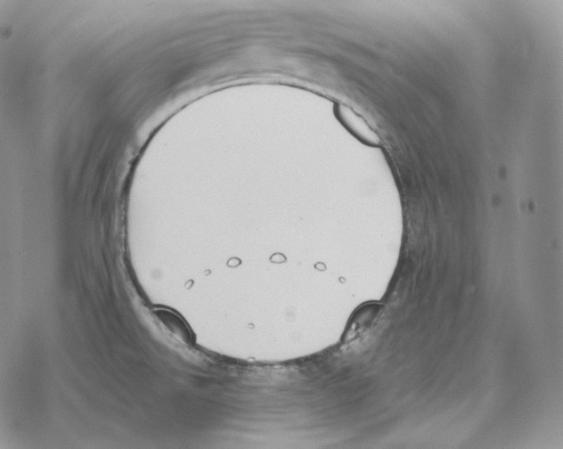 X0000069381526200606091638