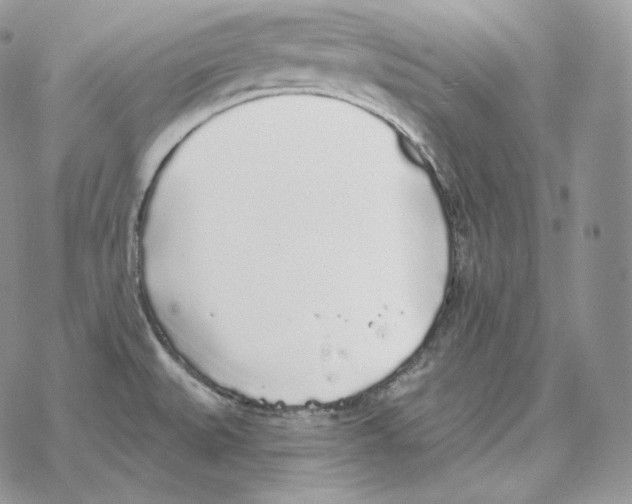 X0000069381527200606091638