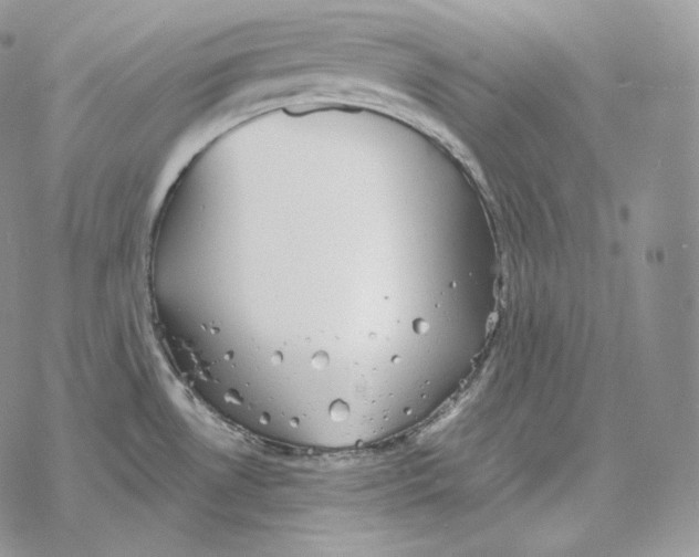 X0000069381530200606091638