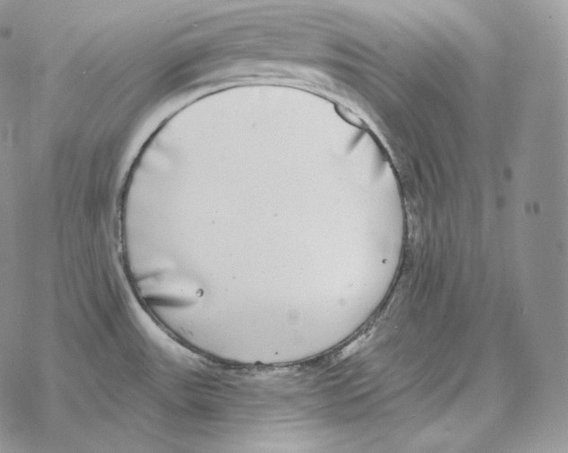 X0000069381531200606091638