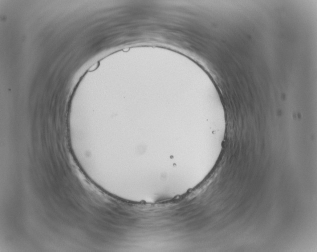 X0000069381534200606091638