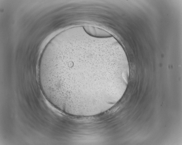 X0000069381535200606091638