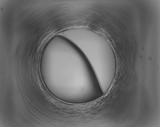 X0000069390001200605120955